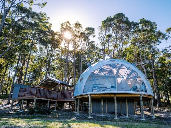 A tent in the shape of a dome on a wooden platform surrounded by trees.