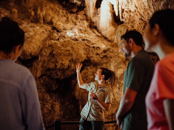 Ngilgi Cave Guided Tour