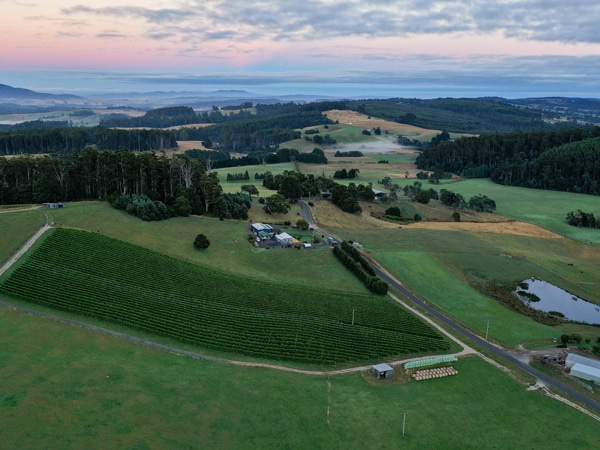 The Ridge North Lilydale from above