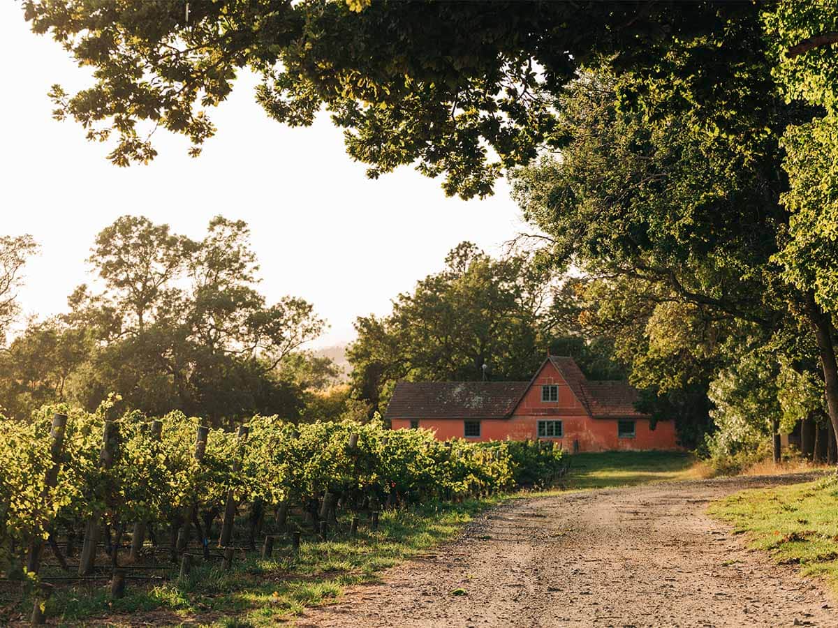 Sip, dine, sleep: the essential Tamar Valley wineries guide