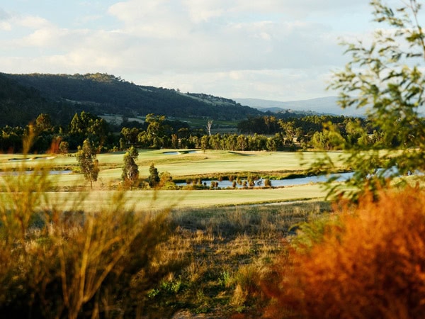 the scenic landscape at Yering Gorge Cottages