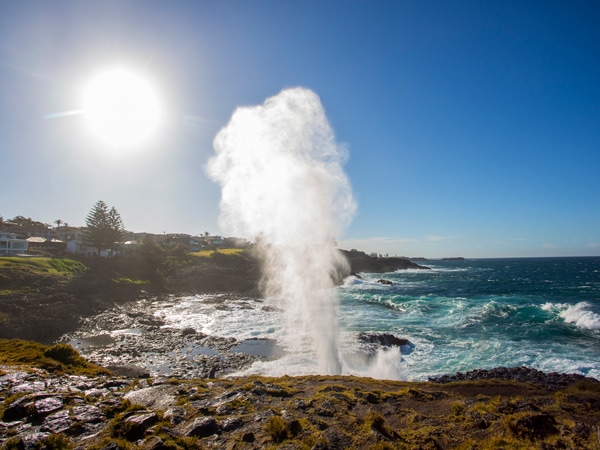 Water plume spouting from the Kiama blowhole.