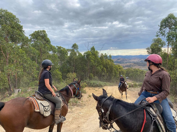 exploring Yarra Valley while riding horses, Chum Creek Horseriding and Huts