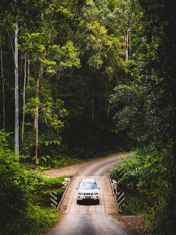 A 4WD driving through a scenic forest near Dorrigo.