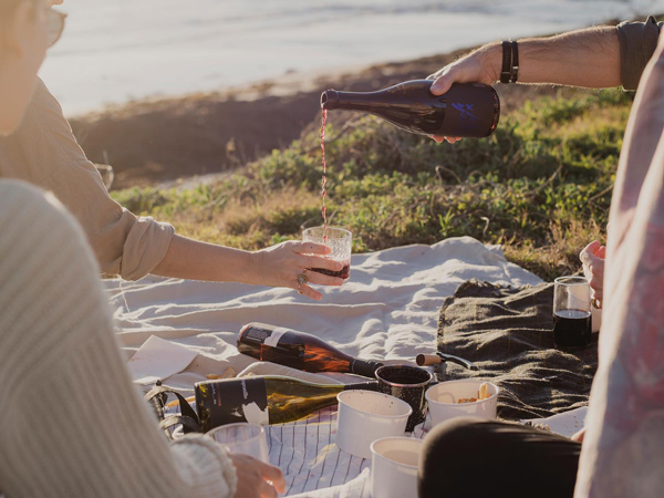 a picnic setup with wine at Goon Tycoons