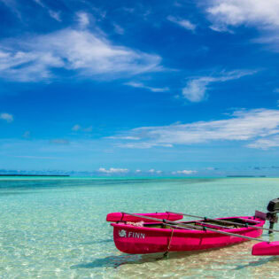 Cocosday Motorised Canoe Safari