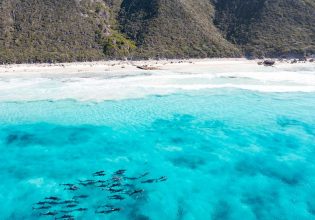 turquoise waters of Twilight Bay