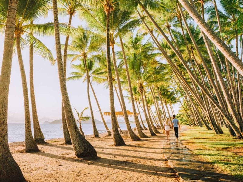 Palm-lined foreshore at Palm Cove.