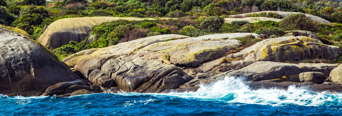 Montague Island Narooma NSW
