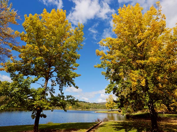 Lake Canobolas