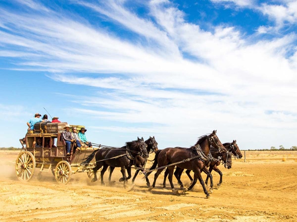 Kinnon & Co Outback Pioneers Stagecoach Ride