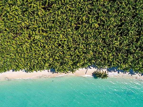 Castaway on Cocos Keeling Island