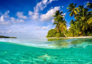Shark in the Crystal clear water of Cocos (Keeling) Islands