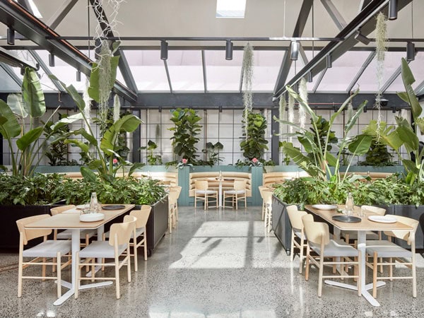 the bright and airy interior of Au79 surrounded by plants