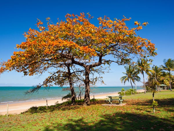 Balgal Beach Townsville