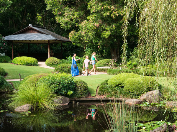 exploring the Brisbane City Botanic Gardens