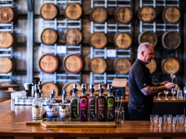 a bartender behind the bar with different bottles of gin on show