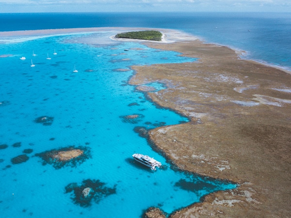 pemandangan udara dari perairan biru jernih dan terumbu karang di sepanjang Pulau Lady Musgrave 