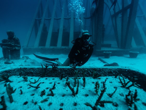 Snorkelling Coral Greenhouse Museum of Underwater Art