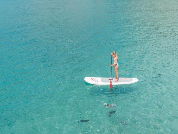 Townsville Stand-up Paddle boarding