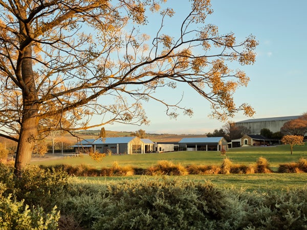 Taylors Wines, Clare Valley, South Australia