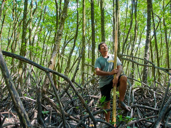 Indigenous tour in the Daintree Rainforest