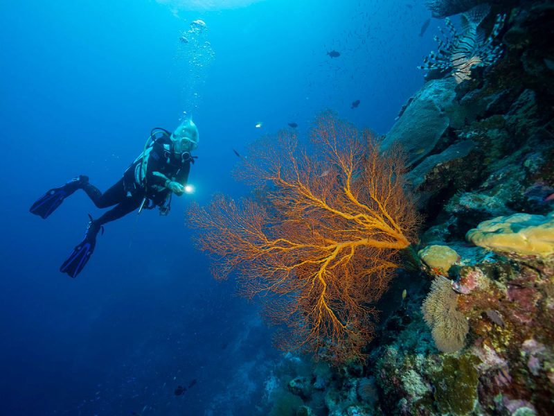 scuba diving on Christmas Island