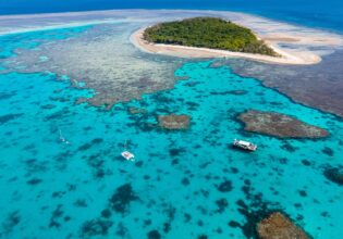lady musgrave island