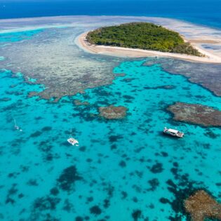lady musgrave island