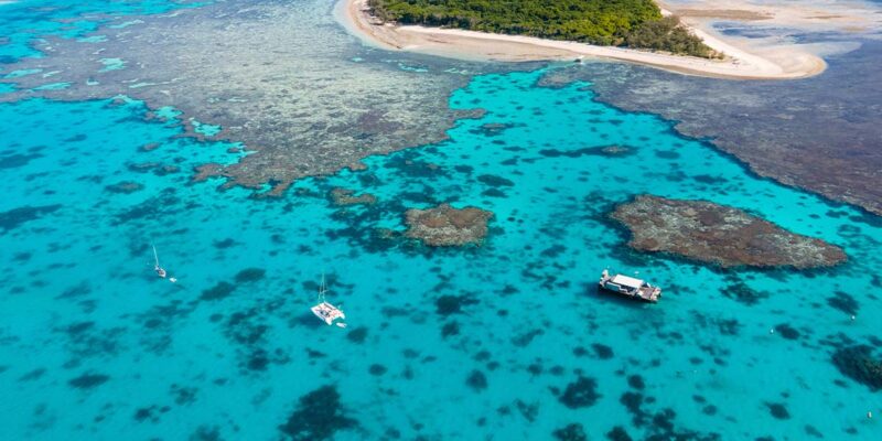 lady musgrave island