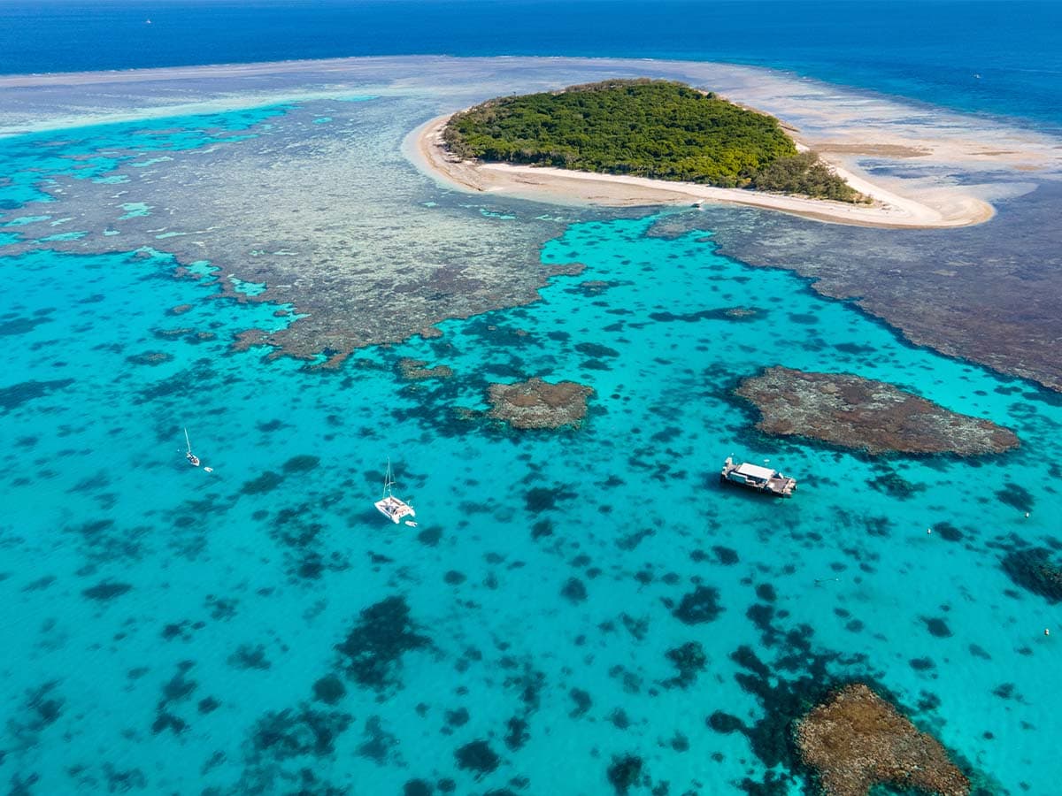 lady musgrave island