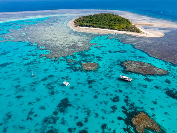 lady musgrave island