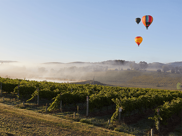 Levantine Hill