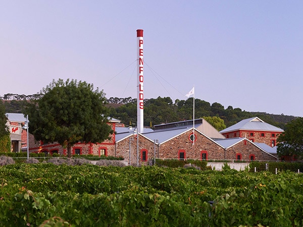 Review A day at Penfolds Magill Estate