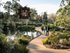 Gardens in Yarra Valley