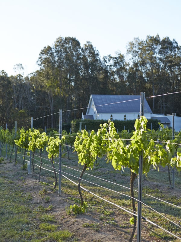 Circa 1876 in the Hunter Valley