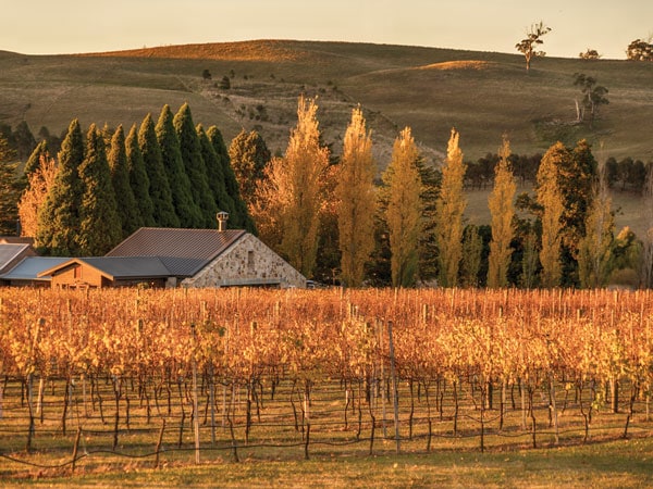 the Bendooley Estate scenic landscape in Bowral