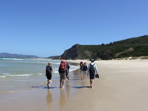 8 Stunning Bruny Island Hikes - Australian Traveller