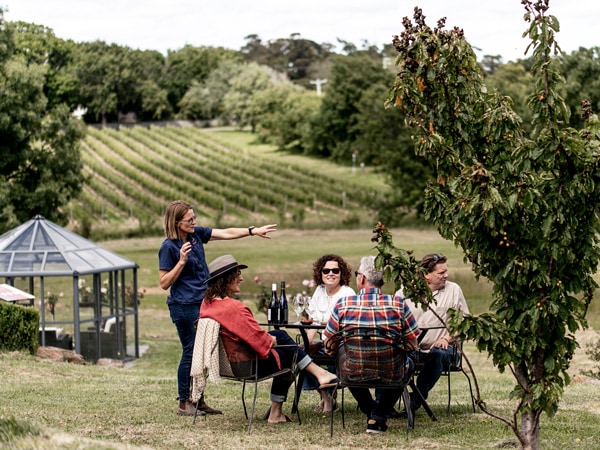 Holm Oak Vineyards in Tamar Valley, Tasmania