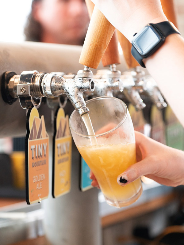 filling up a glass with a craft beer on tap at Tiny Mountain Brewery, Townsville