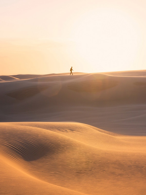 Stockton Sand Dunes, Port Stephens