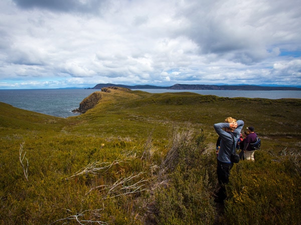 a gropu of hikers standing on top of Bruny Island