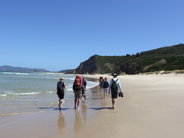sekelompok orang berjalan di sepanjang pantai di Bruny Island