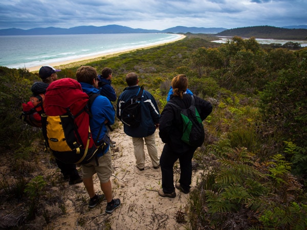 sekelompok pejalan kaki berdiri di atas batu karang yang menghadap ke The Neck, Pulau Bruny 