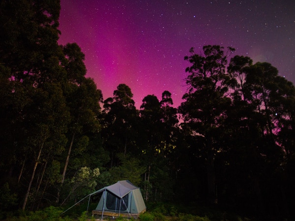 camping under the night sky