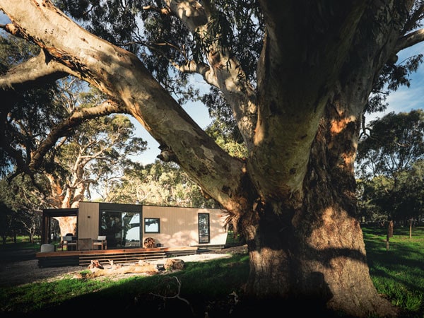 Exterior of CAN X cabin in McLaren Vale