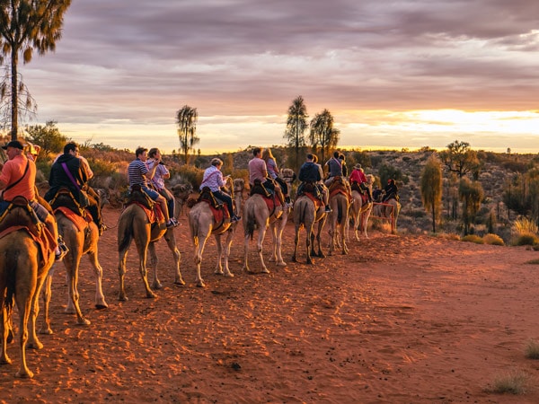 sekelompok wisatawan mengendarai unta saat matahari terbenam di Uluru