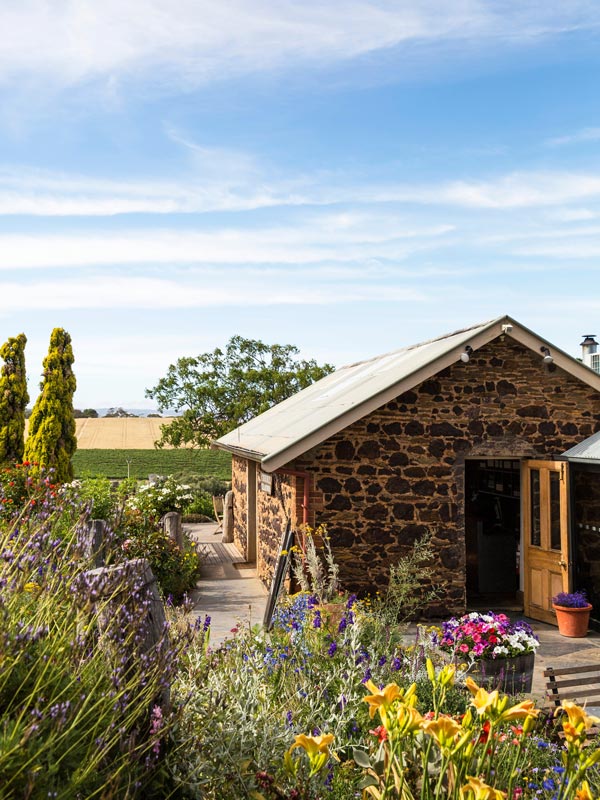 The McLaren Vale Wineries Go To Guide Australian Traveller