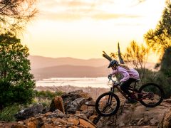 Mountain biking, adventure, Tamar Valley, Tasmania, Australia
