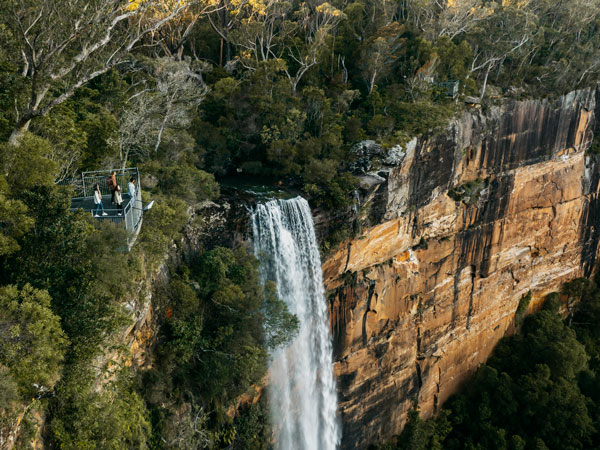 the Fitzroy Falls